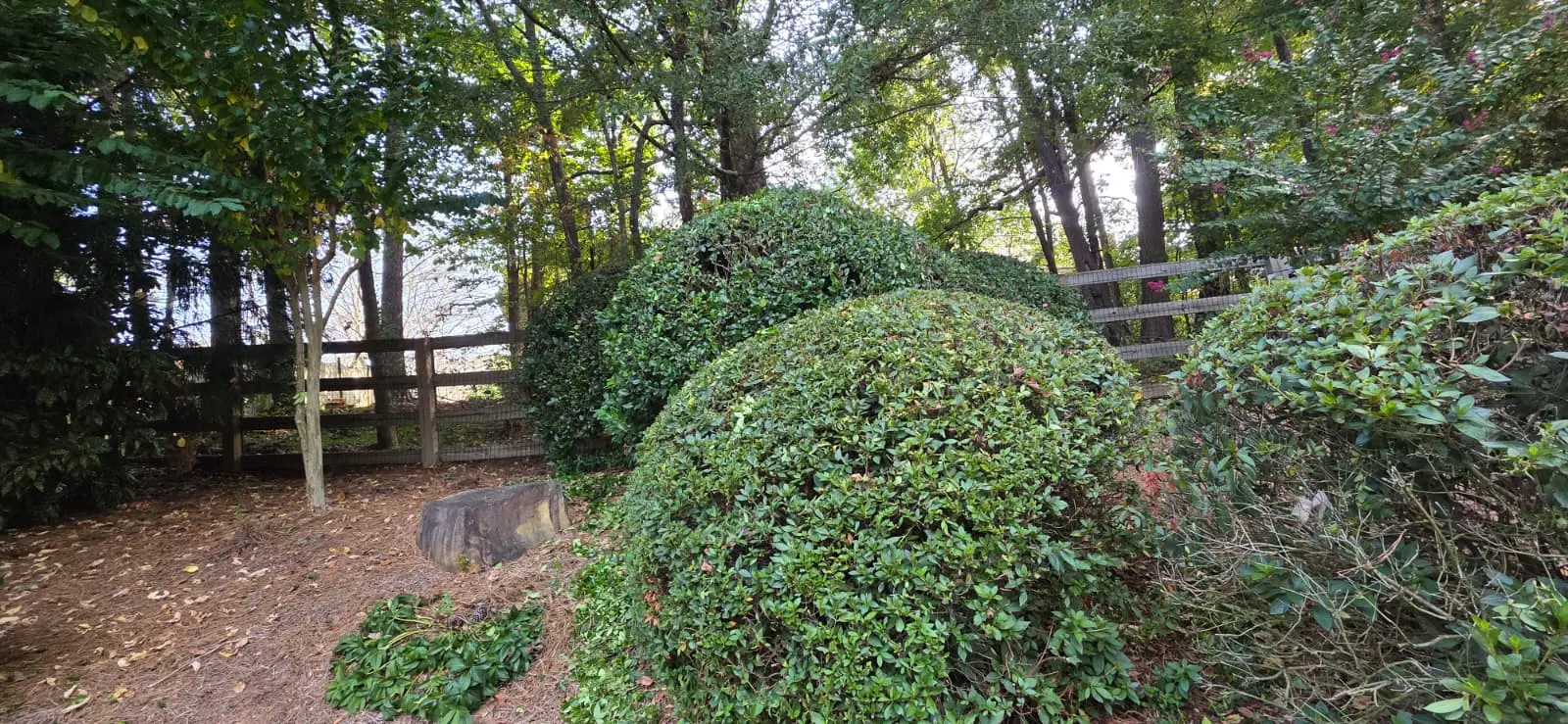 Professional landscaping service