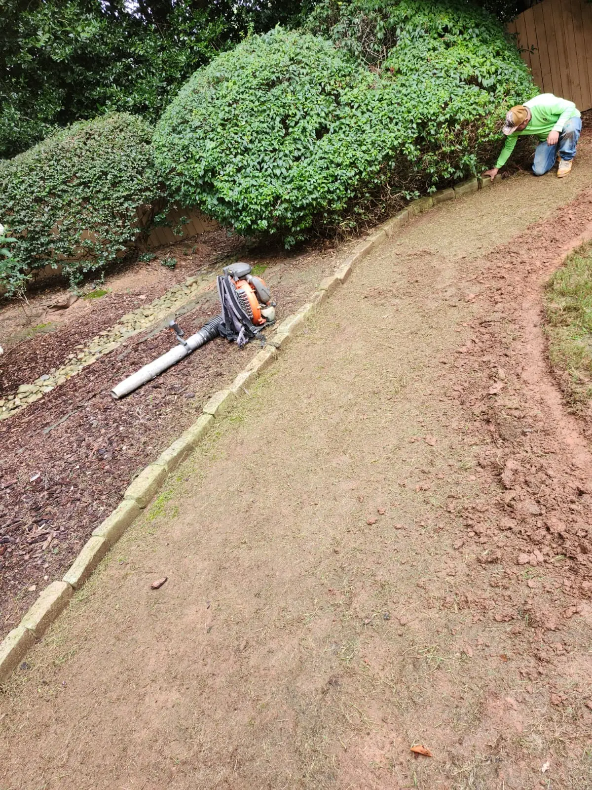 Professional landscaping service