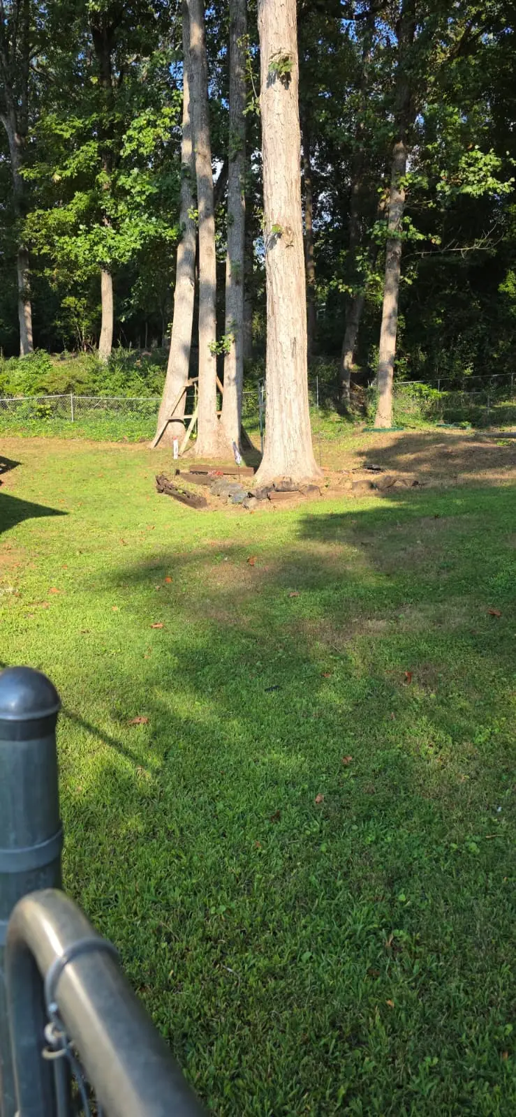 After - Complete Backyard Transformation