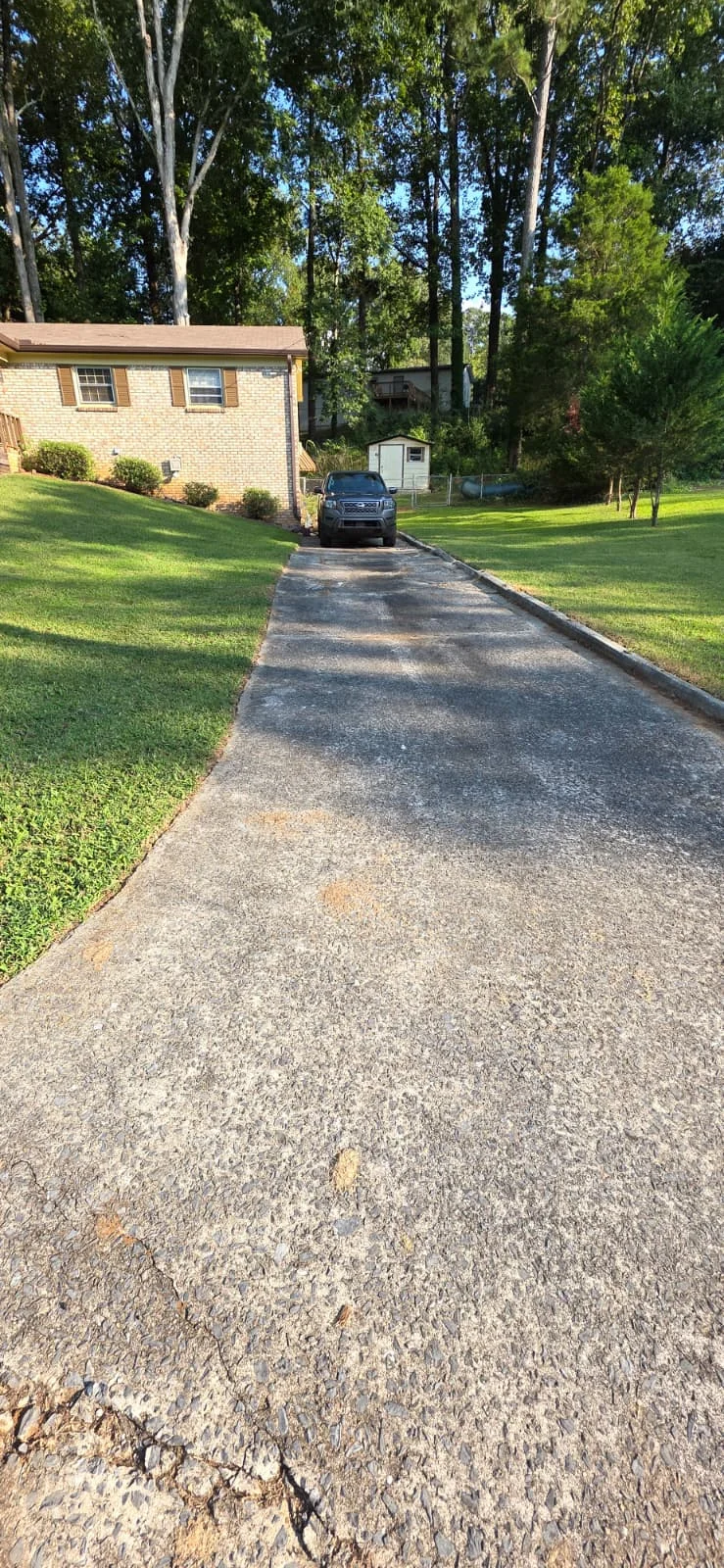 After - Garden Restoration & Cleanup