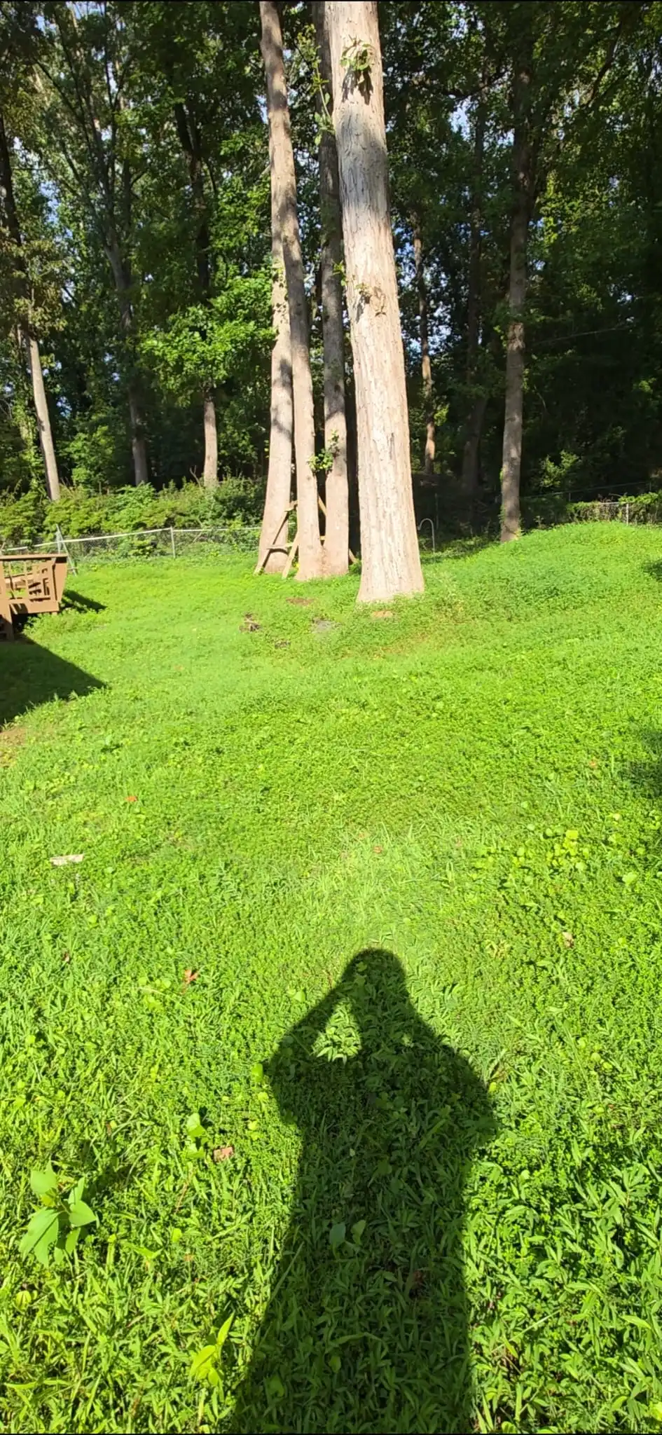 Before - Complete Backyard Transformation